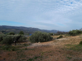CASTELL DE POLPIS POL 9 PARC 7 Y 9. POL 8 PARC 11 2