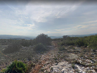 CASTELL DE POLPIS POL 9 PARC 7 Y 9. POL 8 PARC 11 3