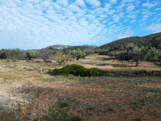 CASTELL DE POLPIS POL 9 PARC 7 Y 9. POL 8 PARC 11 5