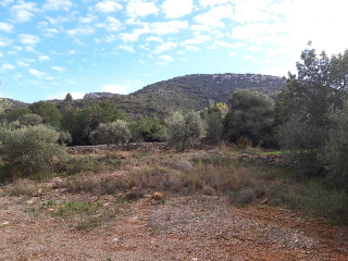 CASTELL DE POLPIS POL 9 PARC 7 Y 9. POL 8 PARC 11 7