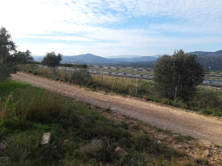 CASTELL DE POLPIS POL 9 PARC 7 Y 9. POL 8 PARC 11 8