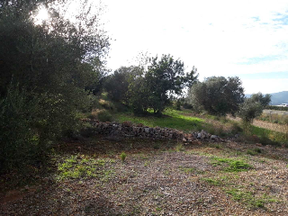 CASTELL DE POLPIS POL 9 PARC 7 Y 9. POL 8 PARC 11 9