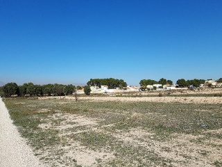 ORITO, POLIGONO 11 2