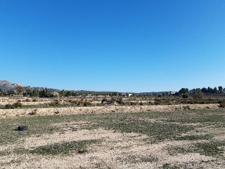 ORITO, POLIGONO 11 3