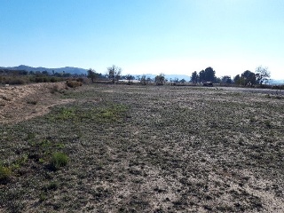 ORITO, POLIGONO 11 5