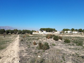 ORITO, POLIGONO 11 8