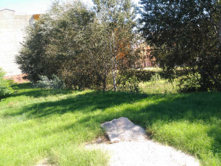 SANTA TERESA (Suelo) 8