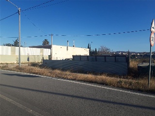 PAGO LA MOLATA 3