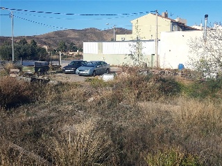 PAGO LA MOLATA 5