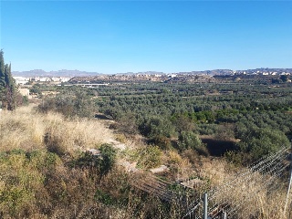 PAGO LA MOLATA 6