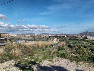 PAGO LA MOLATA 9