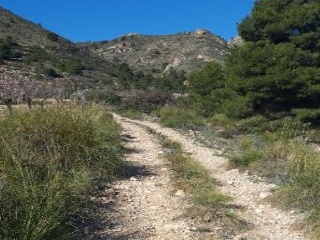 Otros en venta en Fuente Álamo De Murcia