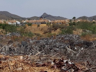 Pisos banco Mazarrón