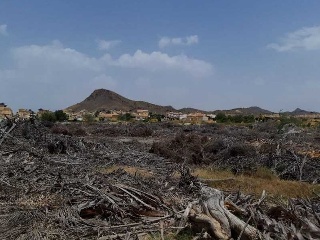 PARAJE CUESTA LARGA Y PARAJE DE POZO NEGRO 2