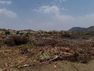PARAJE CUESTA LARGA Y PARAJE DE POZO NEGRO 4
