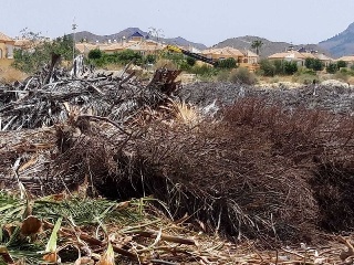 PARAJE CUESTA LARGA Y PARAJE DE POZO NEGRO 5