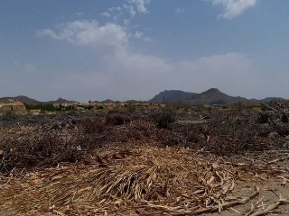 PARAJE CUESTA LARGA Y PARAJE DE POZO NEGRO 6