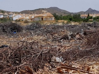 PARAJE CUESTA LARGA Y PARAJE DE POZO NEGRO 7