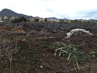 PARAJE CUESTA LARGA Y PARAJE DE POZO NEGRO 8