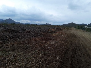 PARAJE CUESTA LARGA Y PARAJE DE POZO NEGRO 10