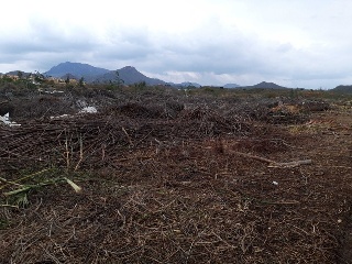 PARAJE CUESTA LARGA Y PARAJE DE POZO NEGRO 11