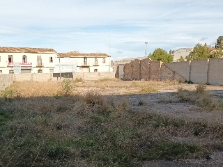 CERVANTES 5
