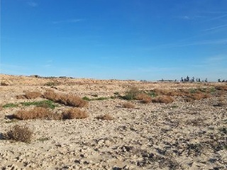 PARTIDO DE BENIAJAN, SITIO DEL CAÑAREJO, LA CUEVA 2