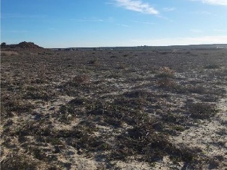 PARTIDO DE BENIAJAN, SITIO DEL CAÑAREJO, LA CUEVA 3