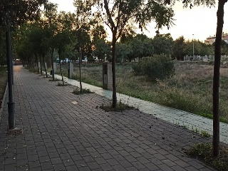 Pisos banco Murcia