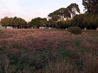 PUERTO DE LA OLIVERA, PARCELAS 6,7,8,10 DEL POLIGO 2
