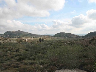 PUERTO DE LA OLIVERA, PARCELAS 6,7,8,10 DEL POLIGO 4