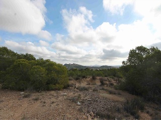 PUERTO DE LA OLIVERA, PARCELAS 6,7,8,10 DEL POLIGO 5