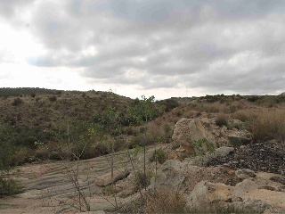 PUERTO DE LA OLIVERA, PARCELAS 6,7,8,10 DEL POLIGO 6