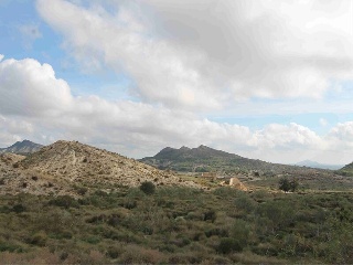 PUERTO DE LA OLIVERA, PARCELAS 6,7,8,10 DEL POLIGO 9