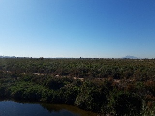 CARRIZALES, POLÍGONO 56, PARCELA 2