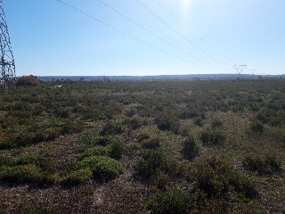 CARRIZALES, POLÍGONO 56, PARCELA 9