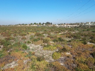 CARRIZALES, POLÍGONO 56, PARCELA 10