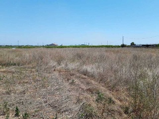 Otros en venta en Castellón De La Plana/castelló De La Plana