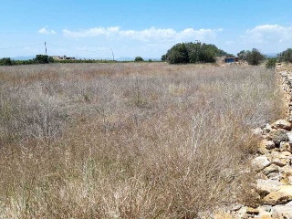 PARTIDA BANADRESA, POLIGONO 38 2
