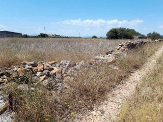 PARTIDA BANADRESA, POLIGONO 38 3