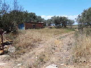 PARTIDA BANADRESA, POLIGONO 38 4