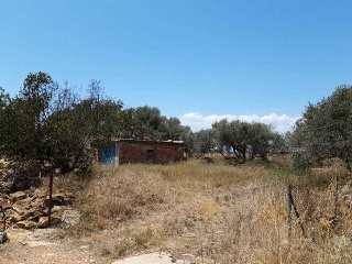 PARTIDA BANADRESA, POLIGONO 38 5