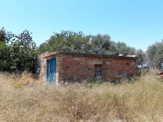 PARTIDA BANADRESA, POLIGONO 38 7