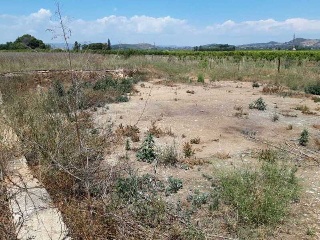 PARTIDA BANADRESA, POLIGONO 38 8
