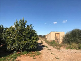 PARTIDA BANADRESA, POLIGONO 38 12