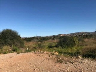 PARTIDA BANADRESA, POLIGONO 38 13