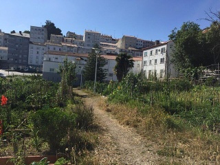 PAMPLONA 3