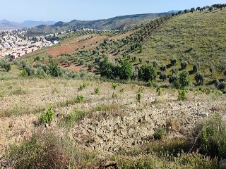 Pisos banco Huétor Vega