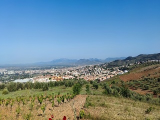 PAGO DE LA PIEDRA DE LOS CUARTILLOS 2