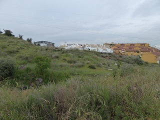 PAGO DE LA PIEDRA DE LOS CUARTILLOS 8